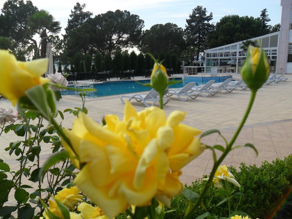 Grand Nicea Hotel Iznik Ruang foto